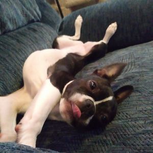 Meet your Posher, Melanie